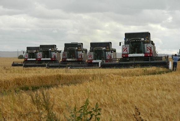 В Пензенской области собрано 1395,4 тыс. тонн зерновых