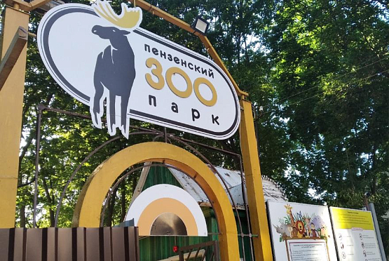 Пензенский зоопарк принимает игрушки для животных