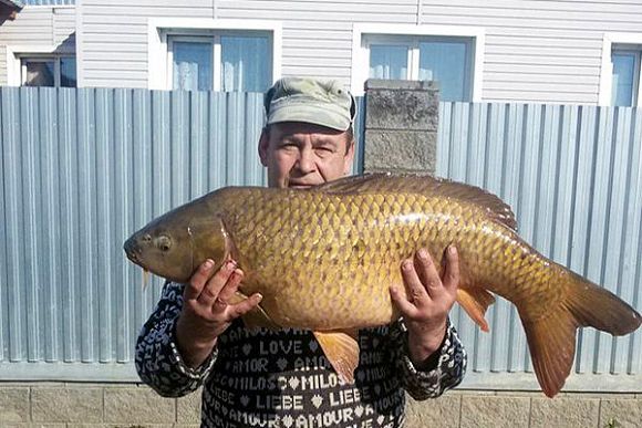 Пензенский рыбак поделился в Сети фото рекордного улова