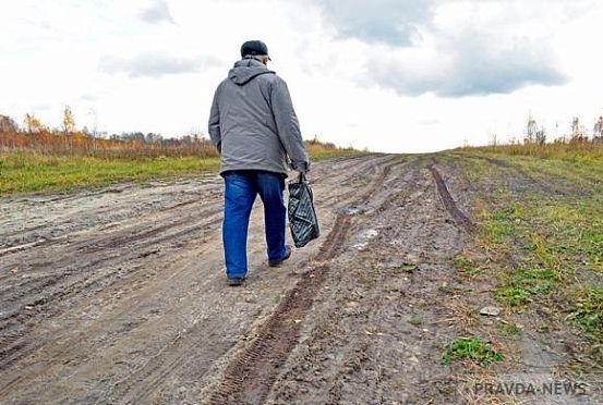 Синоптики обещают заморозки в Пензенской области