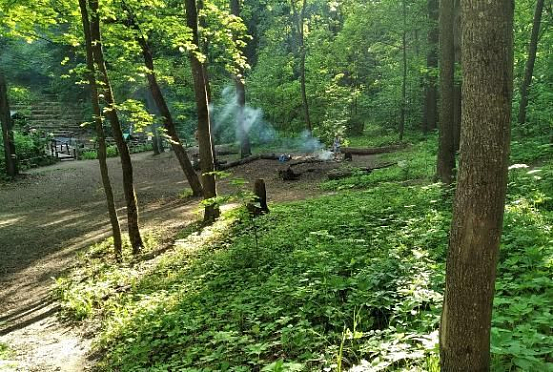 Пензенцев предупредили о высокой пожароопасной ситуации в лесах