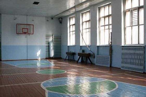 На ремонт и оснащение спортзалов в сельских школах направлено почти 20 млн. рублей