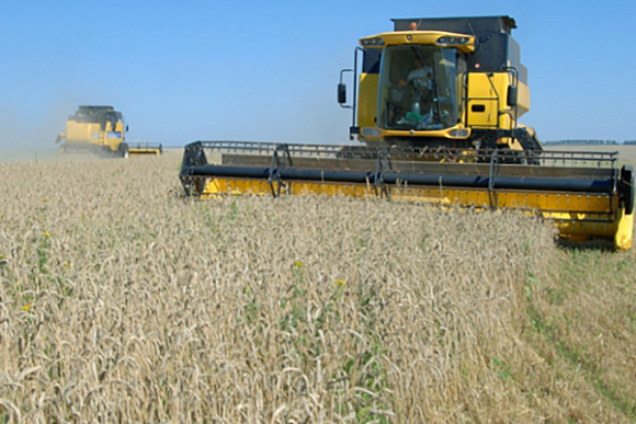 В Пензенской области получили первый миллион тонн зерна