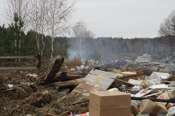 В Сосновоборском районе несанкционированная свалка в лесополосе начала дымиться
