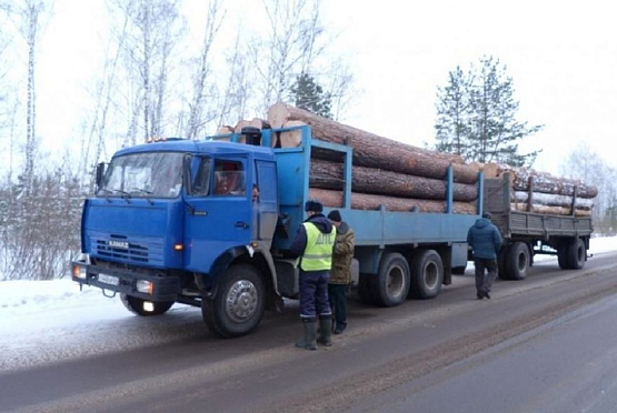 В Пензенской области за транспортировку древесины без документов будут штрафовать
