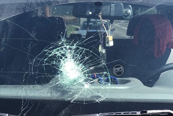Выброшенная из встречной машины бутылка разбила пензенцу лобовое стекло