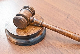Серийного вора из Пачелмы приговорили к 3,5 годам особого режима