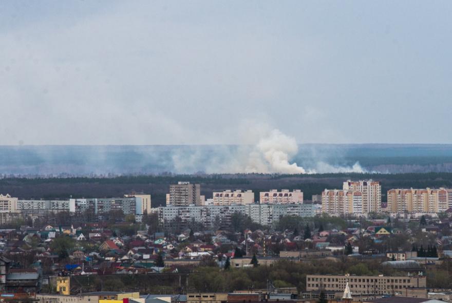 В Пензенской области за сутки ковид зафиксировали в двух городах и 13 районах