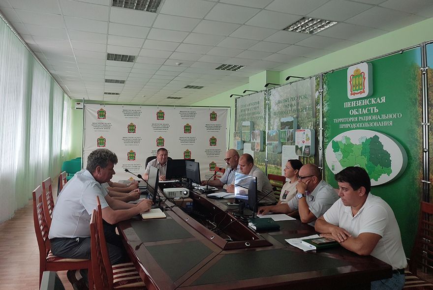 В Пензенской области обсудили меры по сохранению лесов