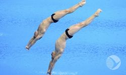 Пензенские спортсмены стали лучшими на этапе Мировой серии FINA Пензенские спортсмены стали лучшими на этапе Мировой серии FINA