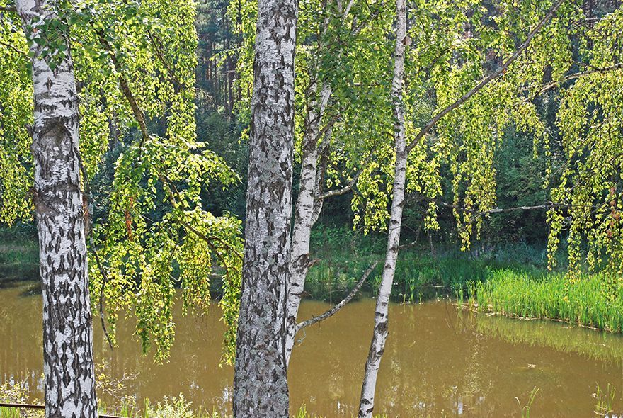  В Каменском районе утонул 55-летний мужчина