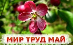 Пензенцам предстоит провести на работе три субботы подряд Пензенцам предстоит провести на работе три субботы подряд