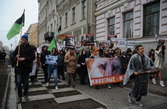 В Пензе и ряде других городов 20 октября состоится «Антимеховой марш»