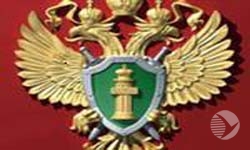 Прокуратура Лопатинского района добивается выделения жилья сироте