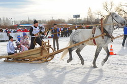 Мастера дротика и коромысла