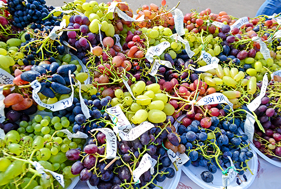 В Пензе на садовой ярмарке покупателей завлекали виноградом «Черная свекла»