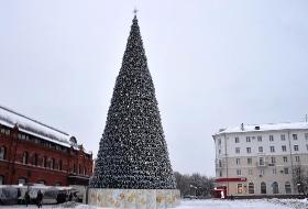 В Пензе завершилась сборка главной елки