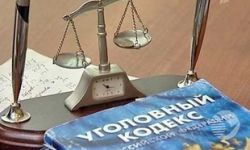 В Пензе из торгового павильона бездомный украл 8 кг мяса