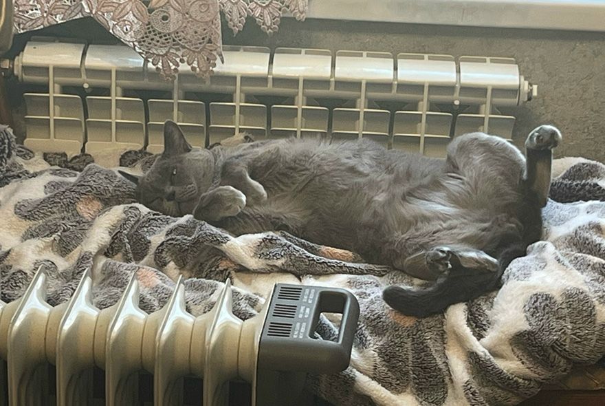 Когда в Пензе закончится отопительный сезон: весна 2026