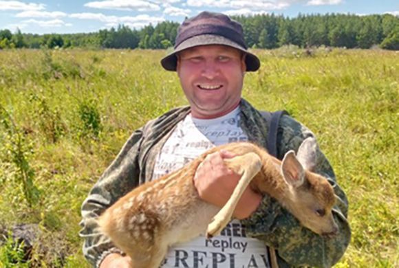 В Вадинском районе спасли олененка