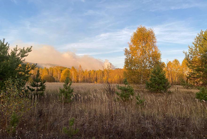 В Нижнеломовском районе потушили лесной пожар