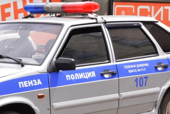 Пензенский «Мухтар» привел полицейских к дому грабителей