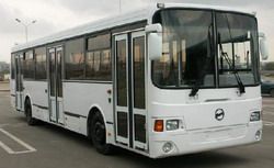 На Кубок Европы по триатлону пензенцев доставят автобусы