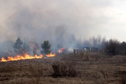 В нескольких селах Пензенской области пал сухой травы едва не привел к трагедии