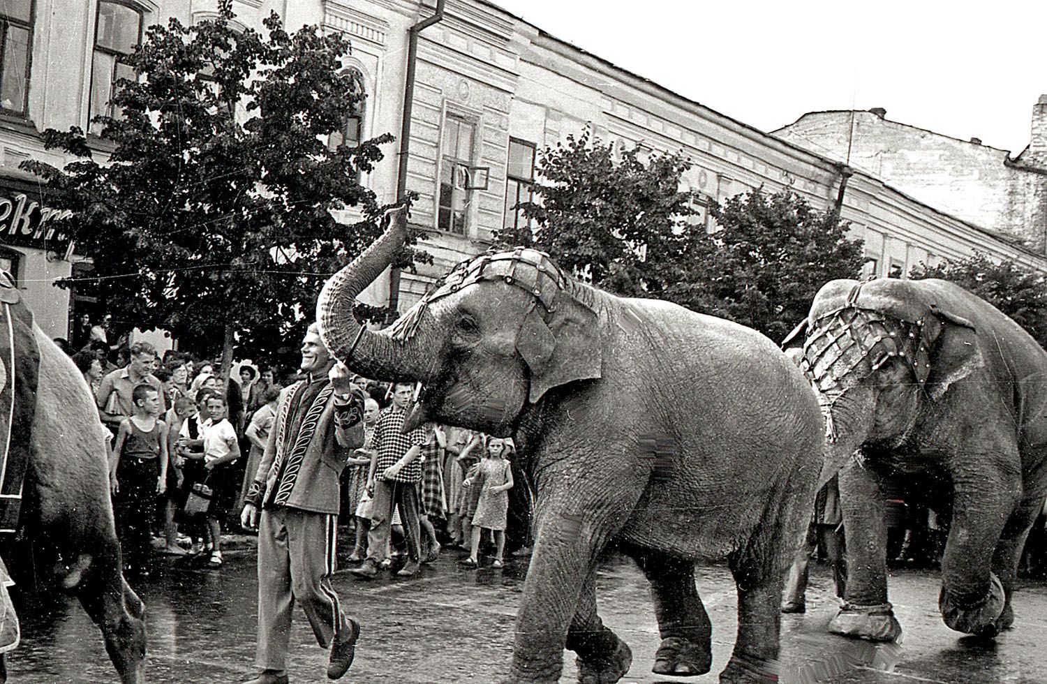 1959 г (375   406) Цирк на Московской и пляски  _09.jpg