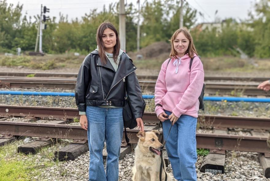 Пензенские студенты оказали помощь бездомным собакам