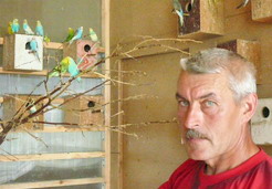 В Тамалинском районе разводят волнистых попугаев