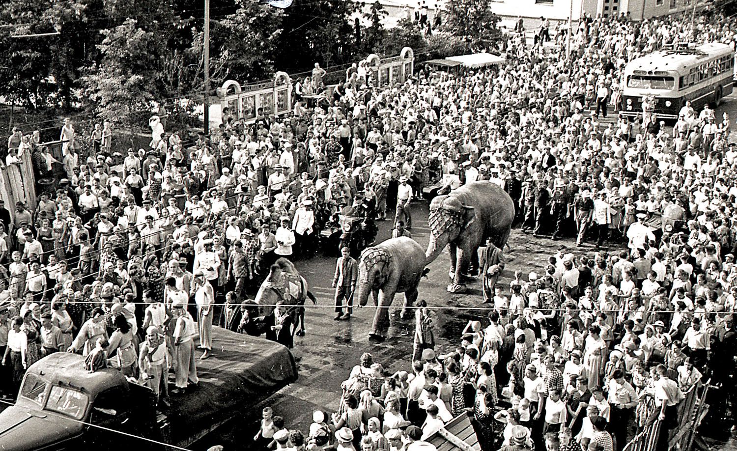 1959 г (375   406) Цирк на Московской и пляски  _11.jpg