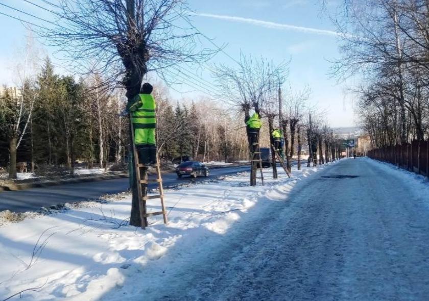 Пензенцам рассказали, почему на улицах зимой обрезают деревья