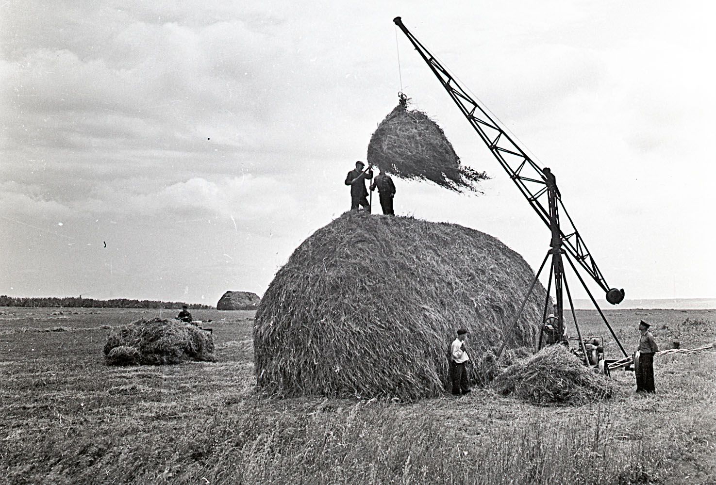 1958 г июль (227) с х Победа 002.jpg