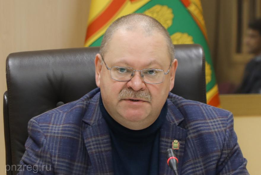Мельниченко рассказал о ремонте мостов Пензенской области