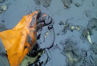 В Пензе выявлено загрязнение почвы нефтепродуктами