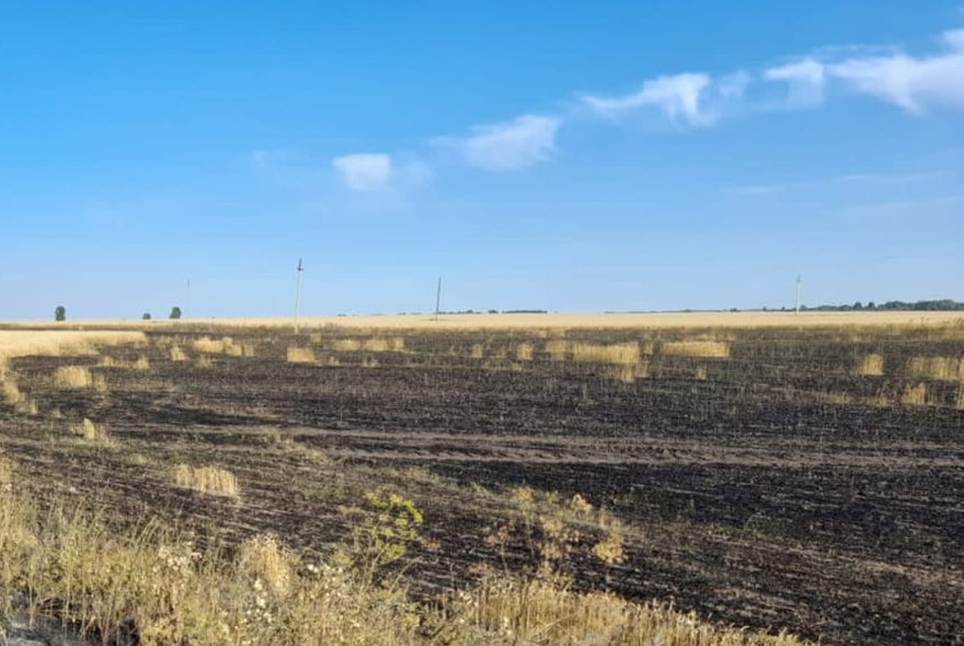 В Сердобском районе сгорело 20 га сельскохозяйственной культуры