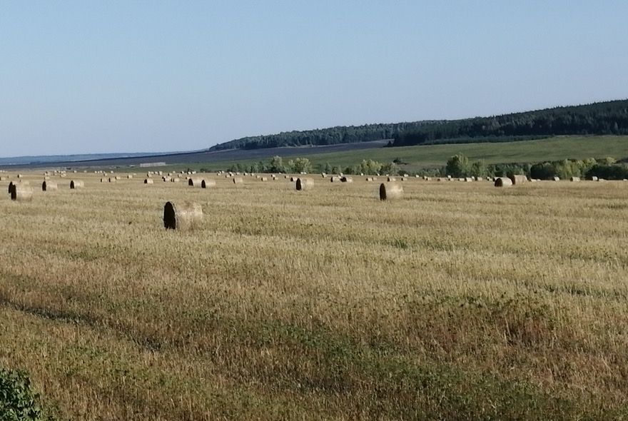 В Пензенской области продолжается заготовка кормов 