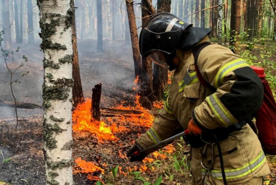 В Пензенской области сохраняется 5 класс пожарной опасности