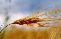 Сбербанк запустил новый кредитный продукт для корпоративных клиентов Сбербанк запустил новый кредитный продукт для корпоративных клиентов