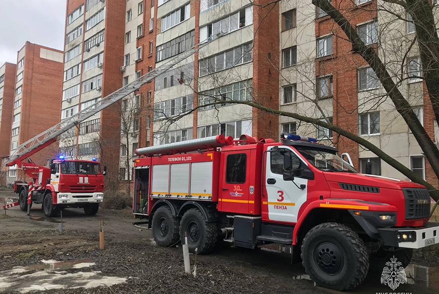При пожаре на улице Ватутина в Пензе спасли двоих детей и кошку