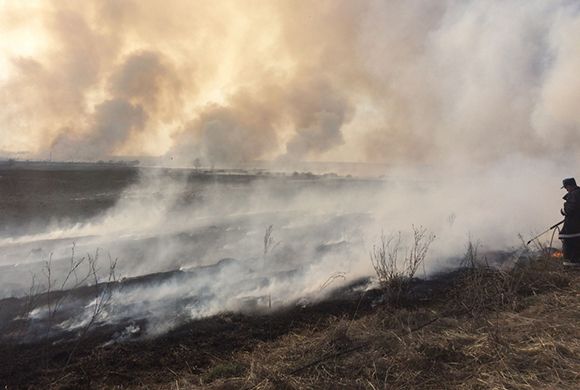 В Пензе и Ольшанке сгорели 2500 кв. м сухой травы
