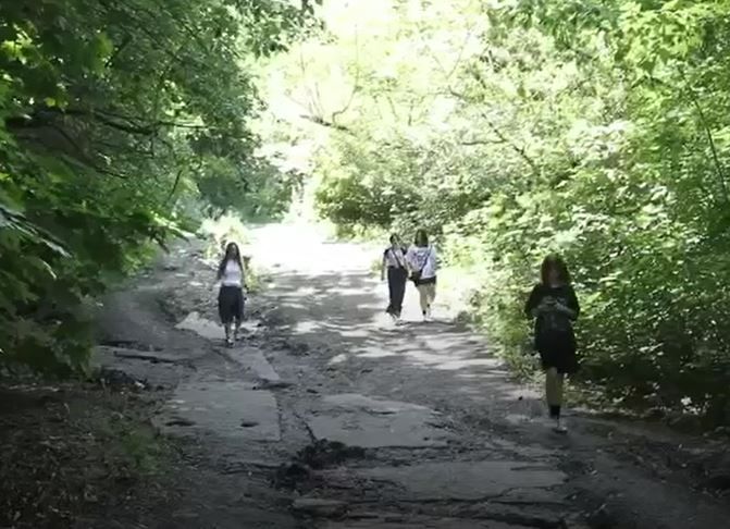 На Тропе здоровья в Пензе поставят фонари и скамейки, уложат плитку