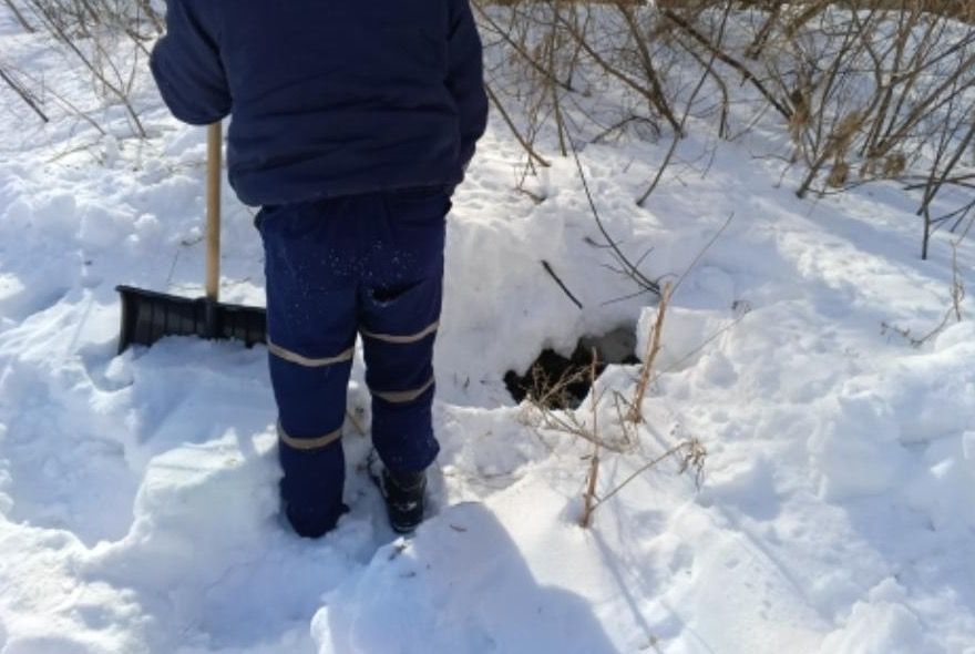 Пензенский спасатели спасли упавшую в колодец собаку