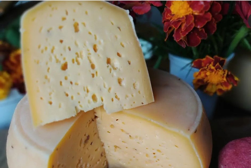 Пензенские сыровары делают качественный продукт
