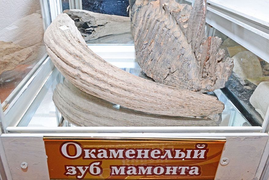 Вот так экспонат! zyb.jpg