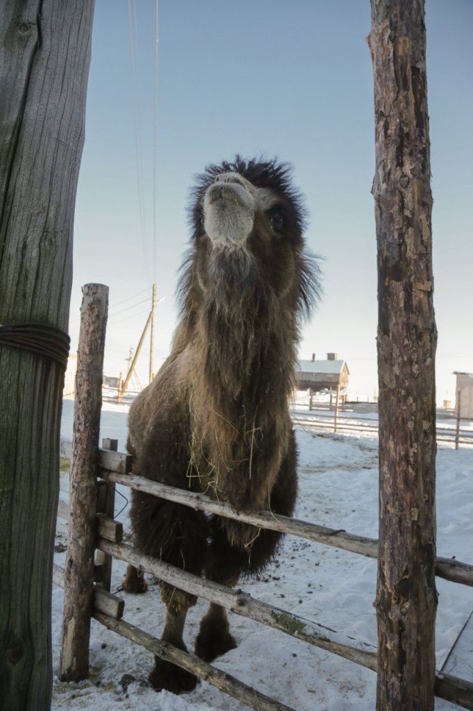 2026-02-05 12.43.01.jpg