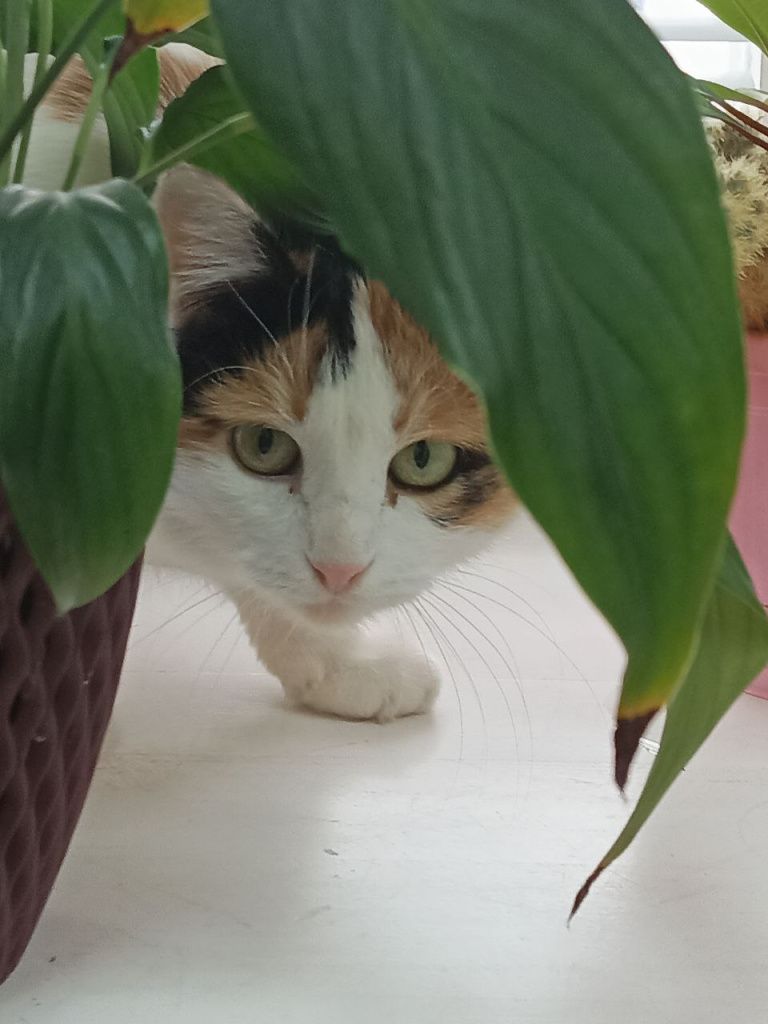 2026-02-17 11.41.20.jpg