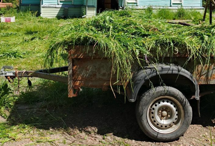 Заготовка сена.jpg