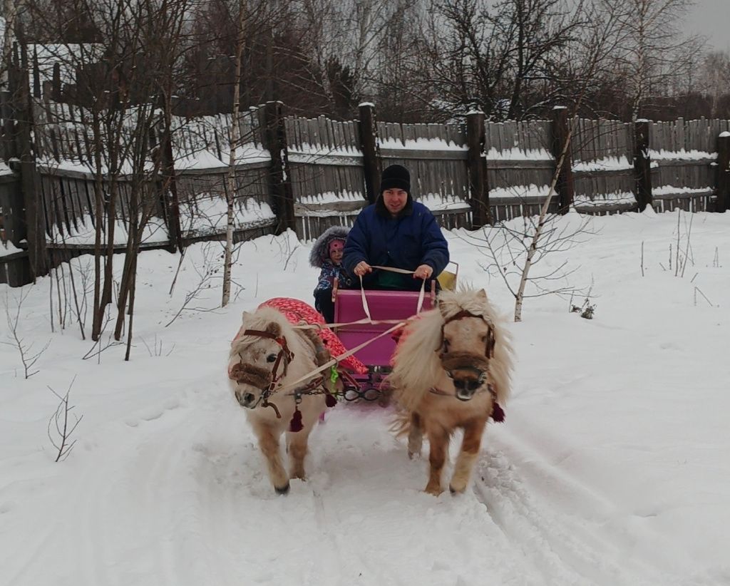 Катание на пониках.jpg